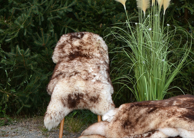 Unikat Mufflon Lammfell Öko Naturhaar Kurzhaar 95cm